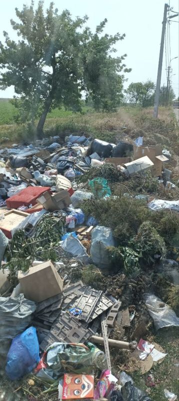 За неделю «Коммунальник» ликвидировал более 500 стихийных свалок За неделю «Коммунальник» ликвидировал более 500 стихийных свалок