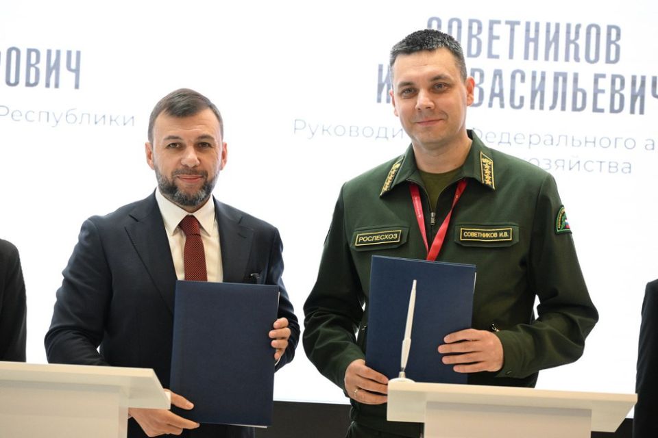  :      :    ,      ,        