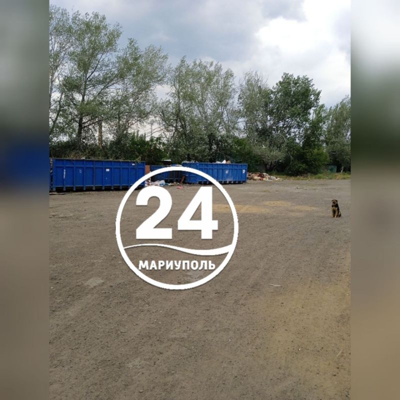 ПИШУТ ЧИТАТЕЛИ. Лариса Гордиенко обратила внимание на необходимость благоустроить пришкольные территории