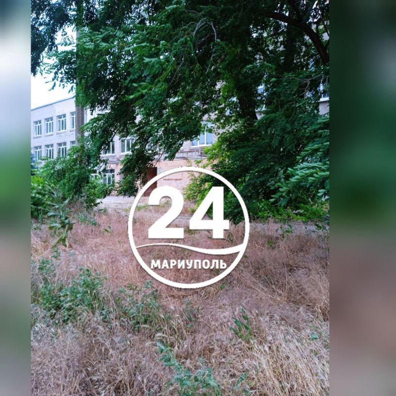 ПИШУТ ЧИТАТЕЛИ. Лариса Гордиенко обратила внимание на необходимость благоустроить пришкольные территории ПИШУТ ЧИТАТЕЛИ. Лариса Гордиенко обратила внимание на необходимость благоустроить пришкольные территории