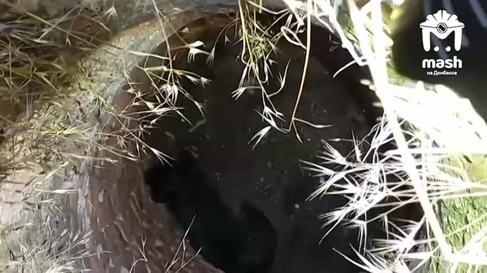  ?  ,   