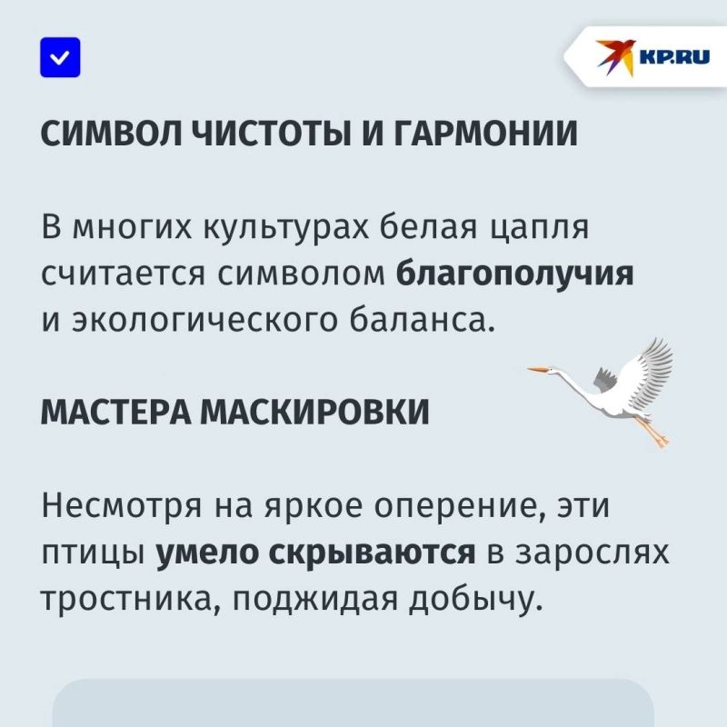 堗  :      