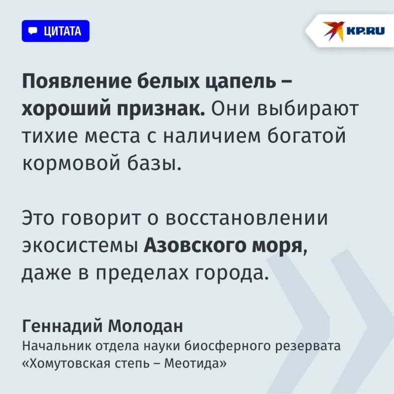 堗  :      