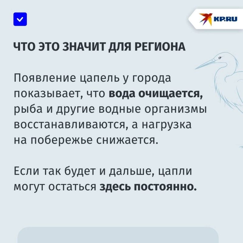 堗  :      