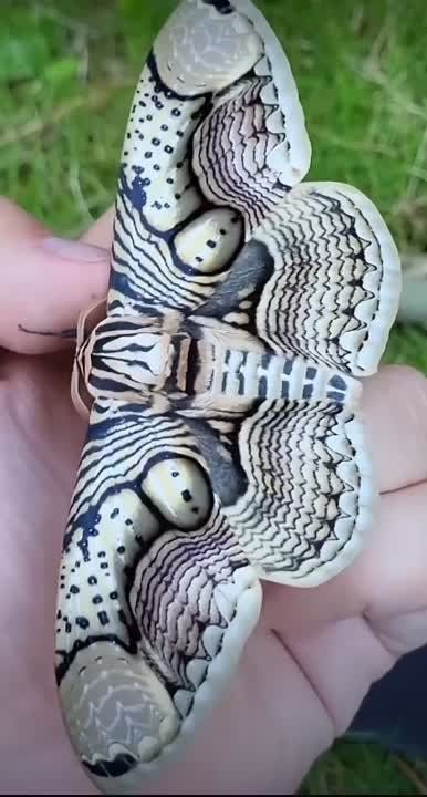  , !