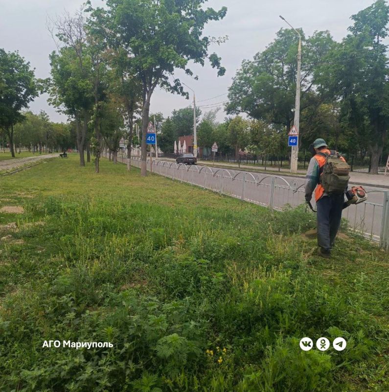 «Зеленстрой» облагородил один из центральных проспектов левобережья