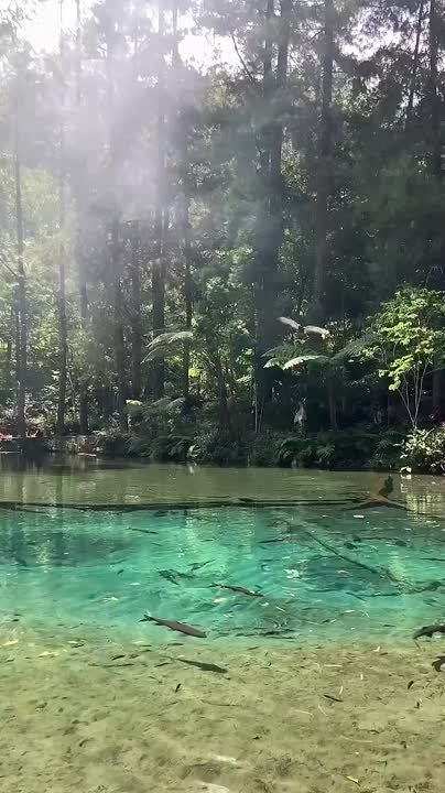  , !.    ,   - 