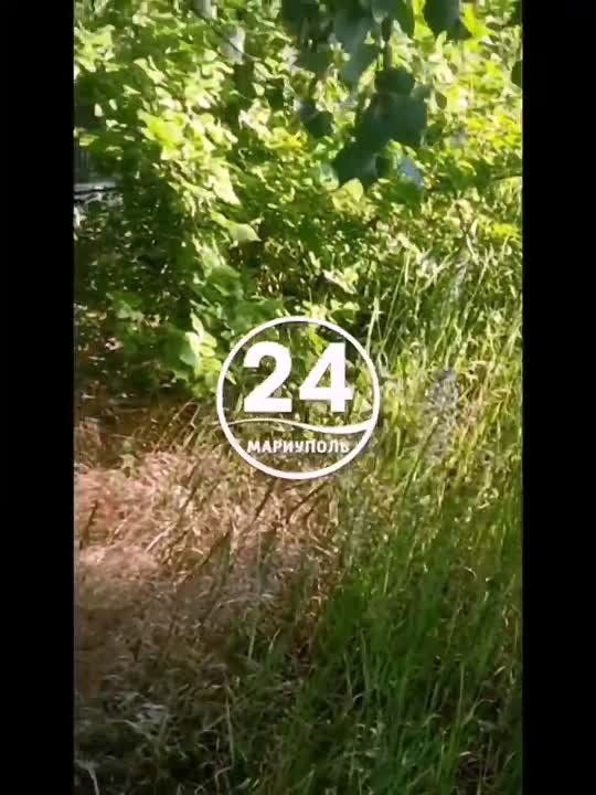  .           . , 107