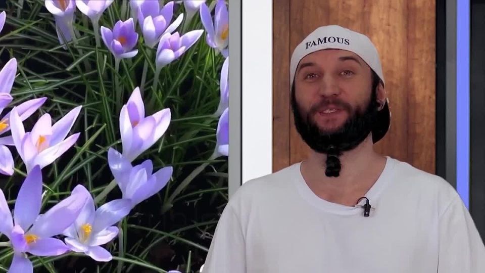    27.06.2025
