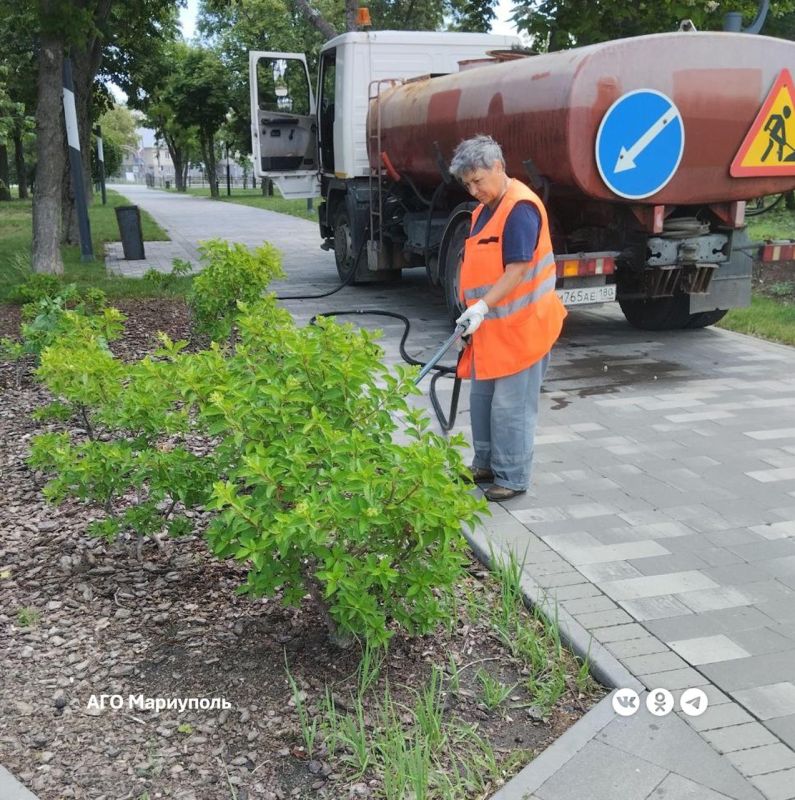 «Зеленстрой» благоустраивает главный парк левобережья