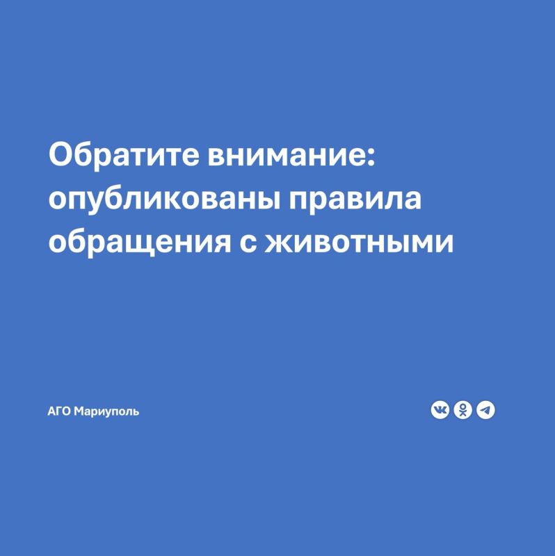 В целях информирования населения и обеспечения безопасности граждан отделом благоустройства УЖКХ и МУП «Зеленстрой» разработаны информационные памятки, посвященные правилам обращения с животными