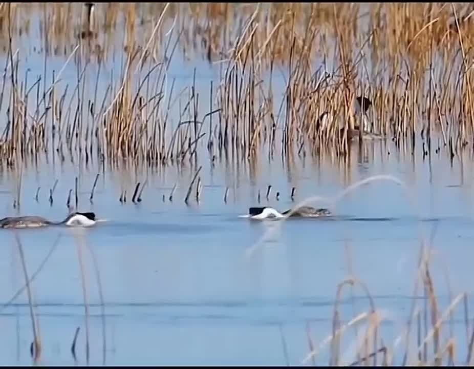  , !.       ,  ,     