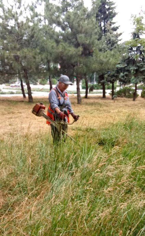 Коммунальщики благоустраивают Приморский парк