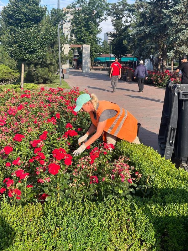 «Зеленстрой» облагораживает цветники в центре города