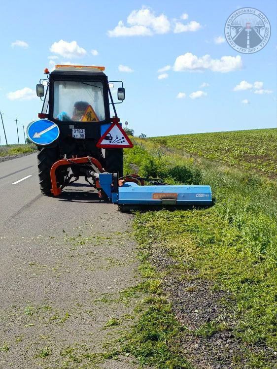 #свод_за_сутки #летнее_содержание #свод_за_сутки #летнее_содержание