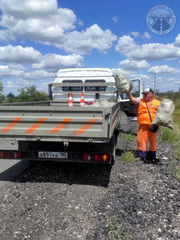 #свод_за_сутки #летнее_содержание #свод_за_сутки #летнее_содержание