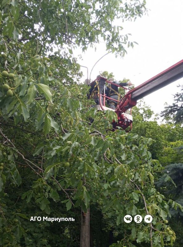 «Мариупольгорсвет» провел технические работы во всех районах города и в поселке Сартана «Мариупольгорсвет» провел технические работы во всех районах города и в поселке Сартана