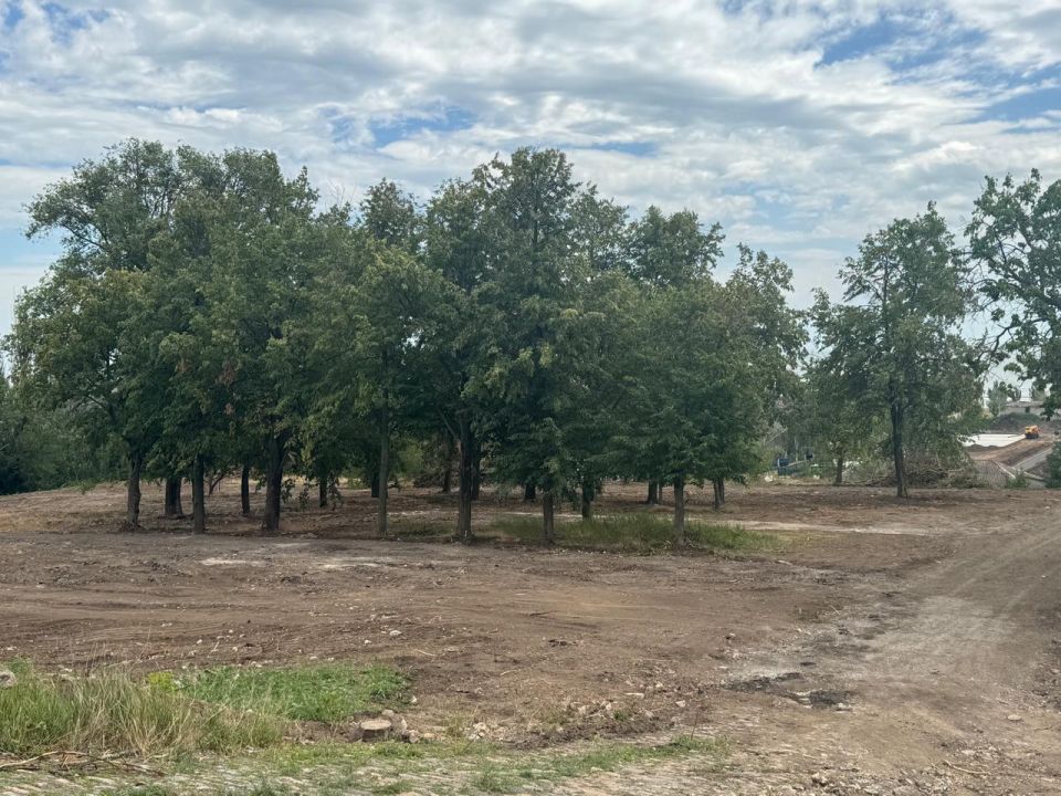 Санкт-Петербург благоустраивает новый парк на Левобережье Мариуполя Санкт-Петербург благоустраивает новый парк на Левобережье Мариуполя