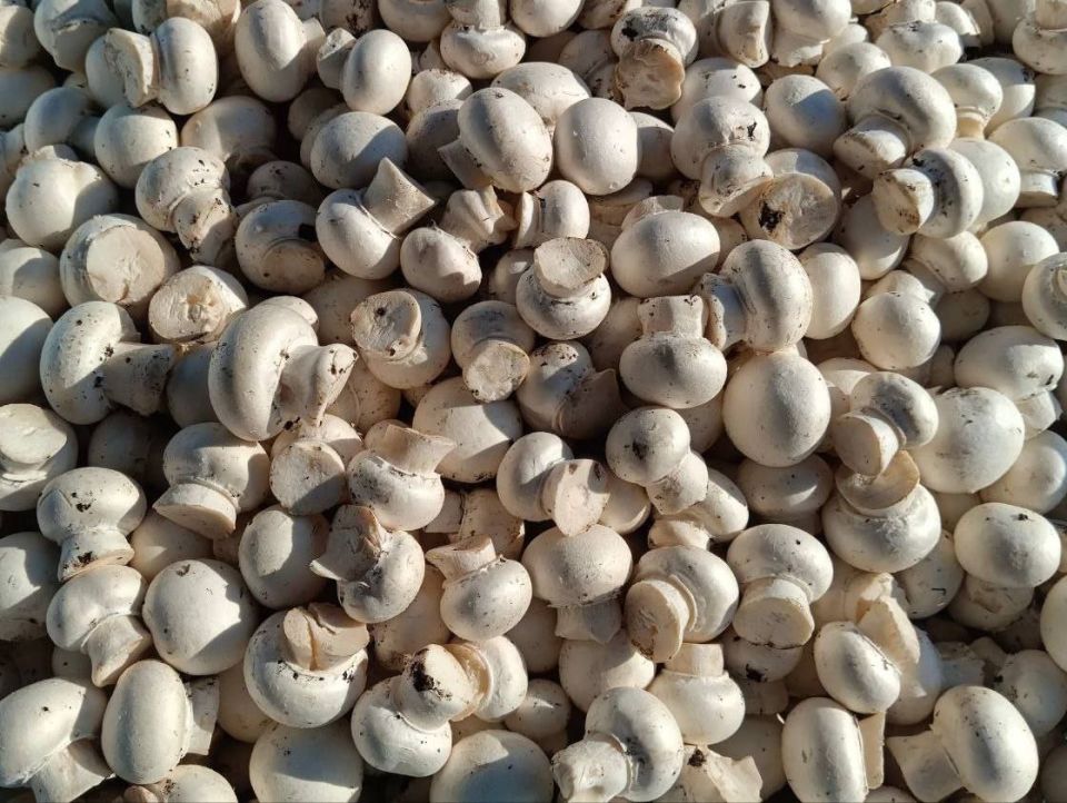 Еженедельная ярмарка в городе Мариуполь Еженедельная ярмарка в городе Мариуполь