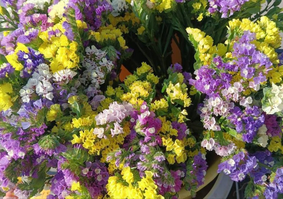 Еженедельная ярмарка в городе Мариуполь Еженедельная ярмарка в городе Мариуполь