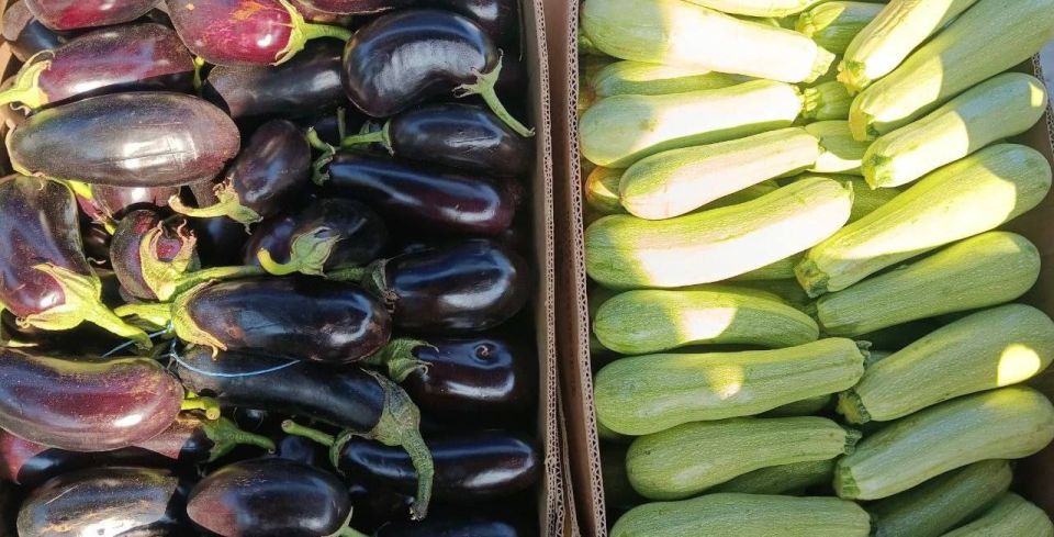 Еженедельная ярмарка в городе Мариуполь Еженедельная ярмарка в городе Мариуполь