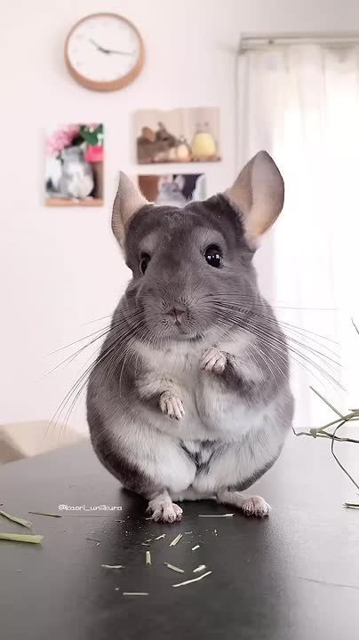  , !.       ,  ,     