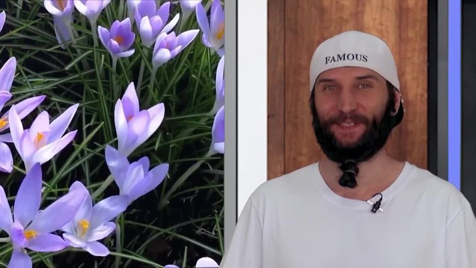    07.07.2025