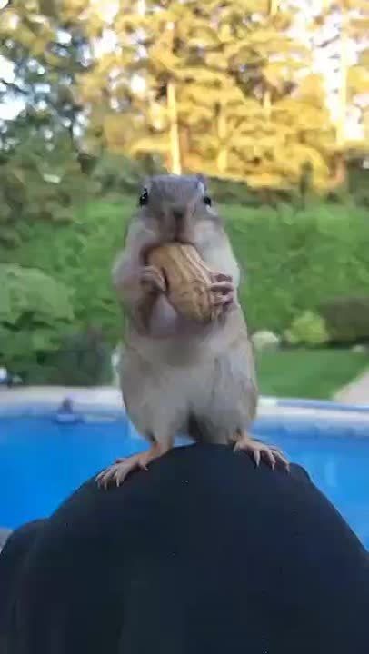  , !.       ,  ,     