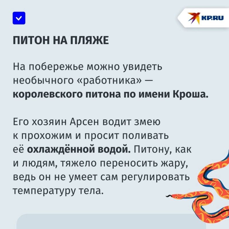    :    