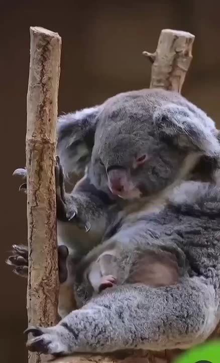  , !.         ,           National Geographic      ...