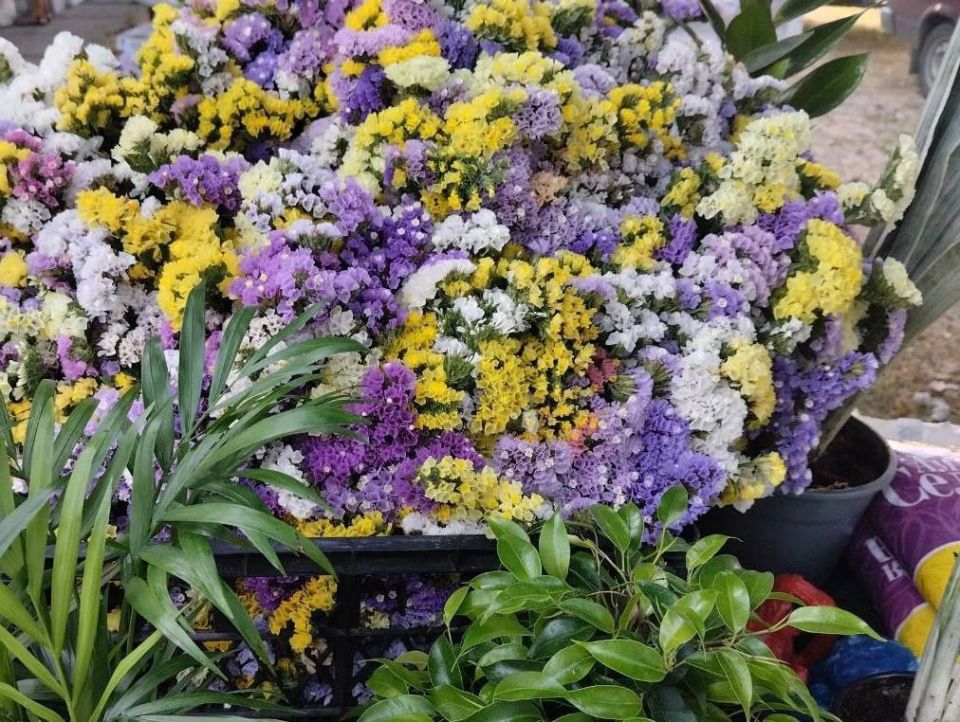 Еженедельная ярмарка в городе Мариуполь Еженедельная ярмарка в городе Мариуполь