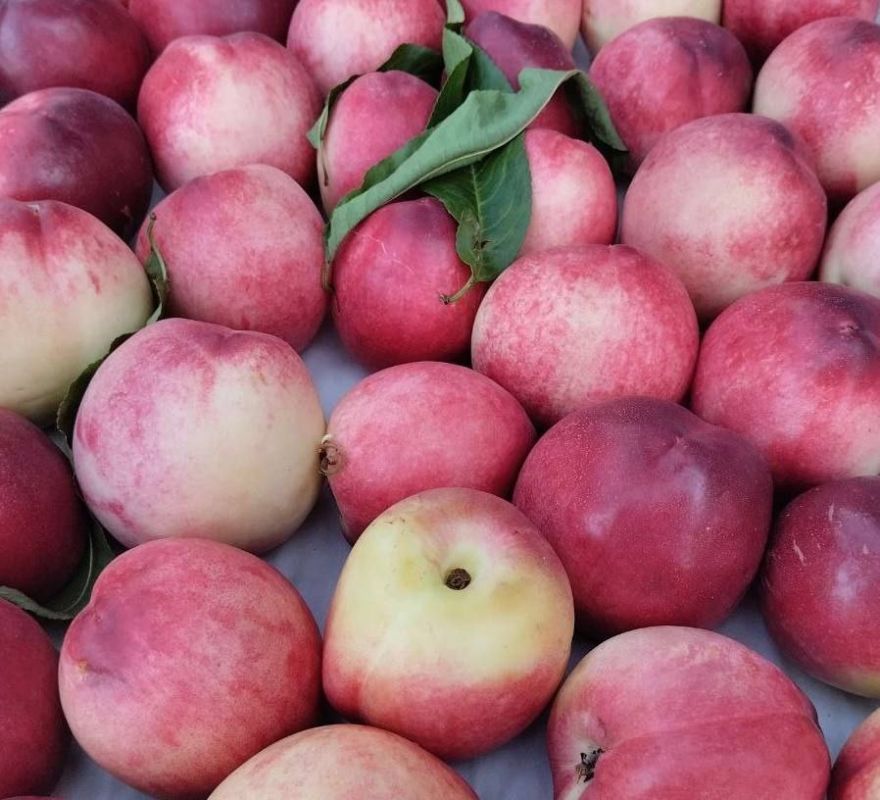 Еженедельная ярмарка в городе Мариуполь Еженедельная ярмарка в городе Мариуполь