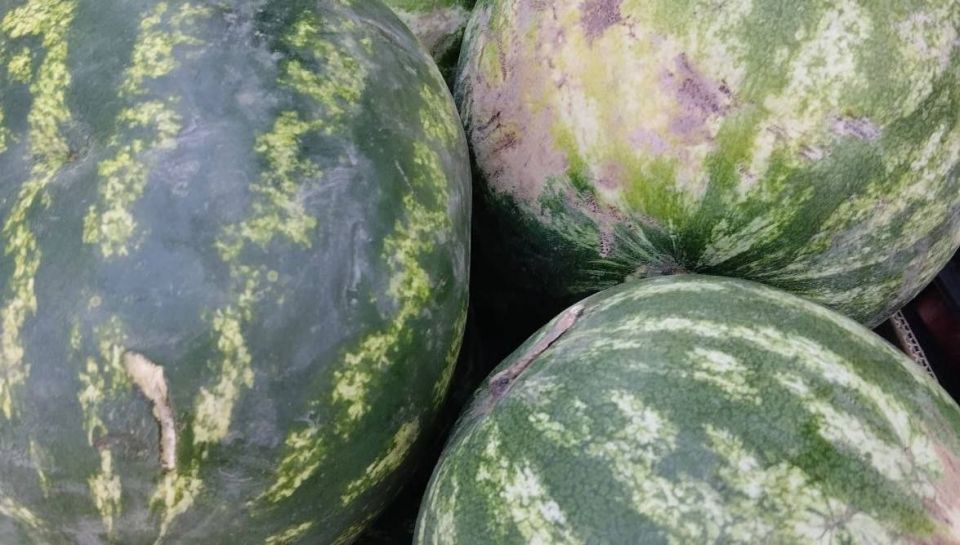 Еженедельная ярмарка в городе Мариуполь Еженедельная ярмарка в городе Мариуполь