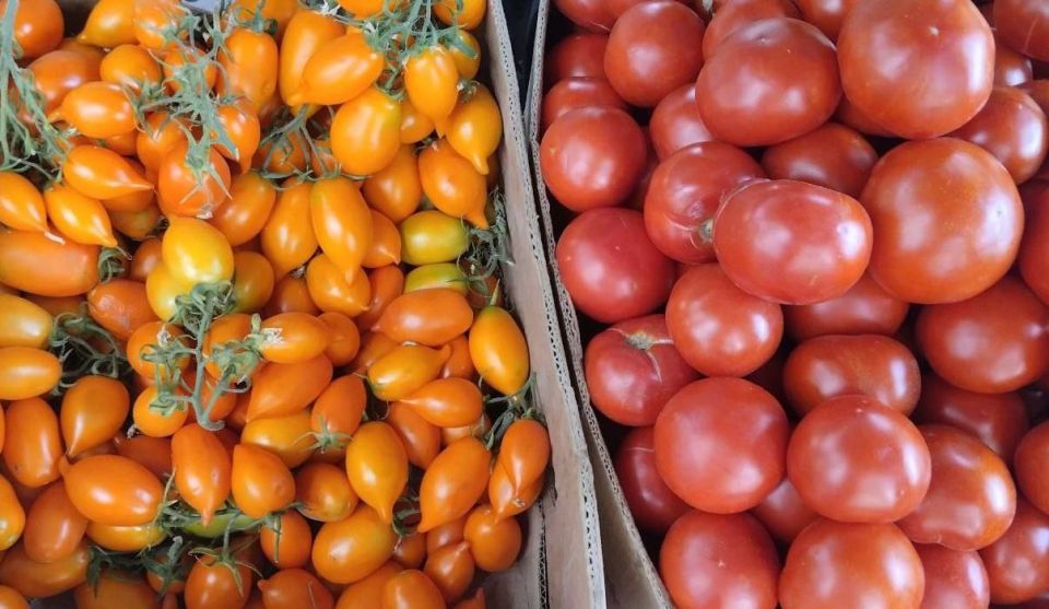 Еженедельная ярмарка в городе Мариуполь Еженедельная ярмарка в городе Мариуполь