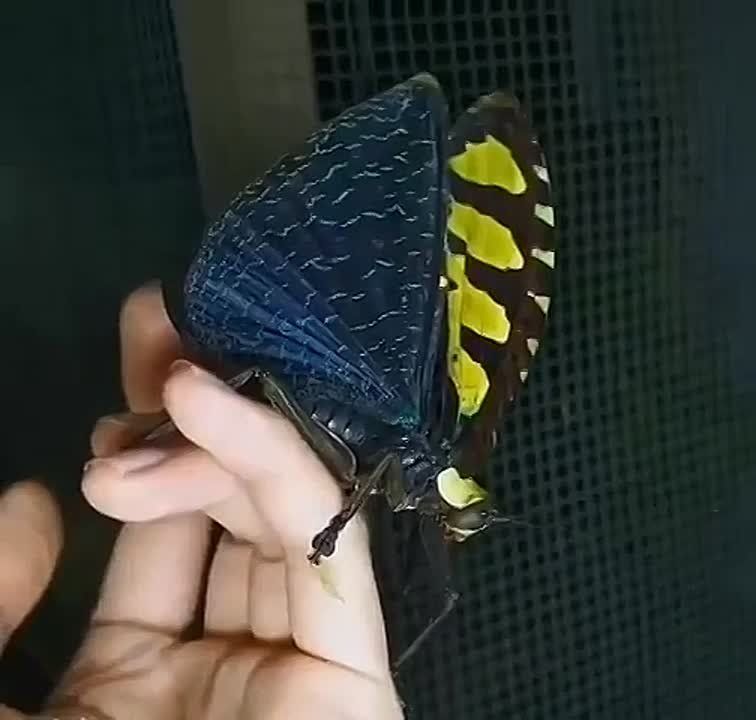  , !