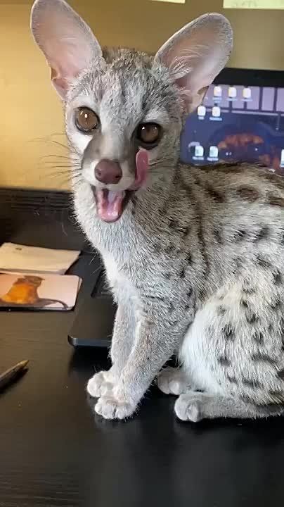 , !.       ,  ,     