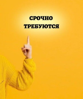 .       :