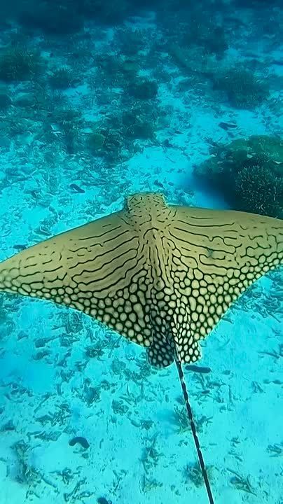 Спокойной ночи, Мариуполь!