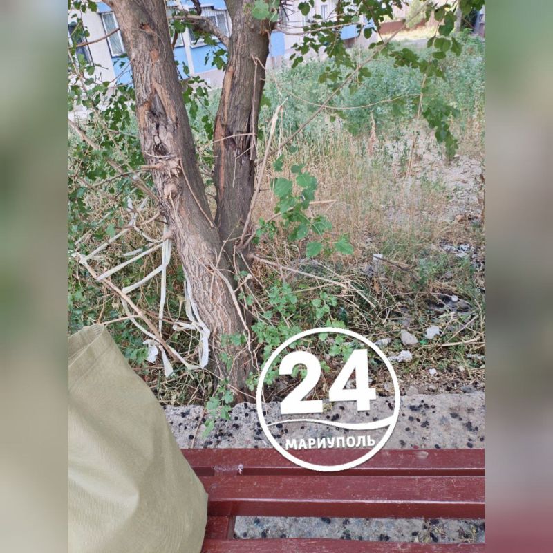  .                !  ,       ...