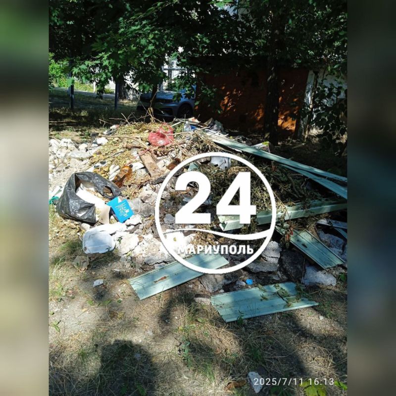  .        -              : . , 17.   ...