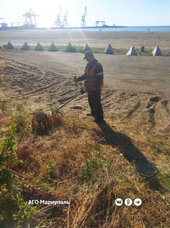 «Зеленстрой» продолжает благоустройство пляжей «Зеленстрой» продолжает благоустройство пляжей