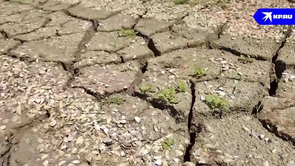 Утопающее в засухе Старокрымское водохранилище: Как решают проблему водоснабжения в Мариуполе