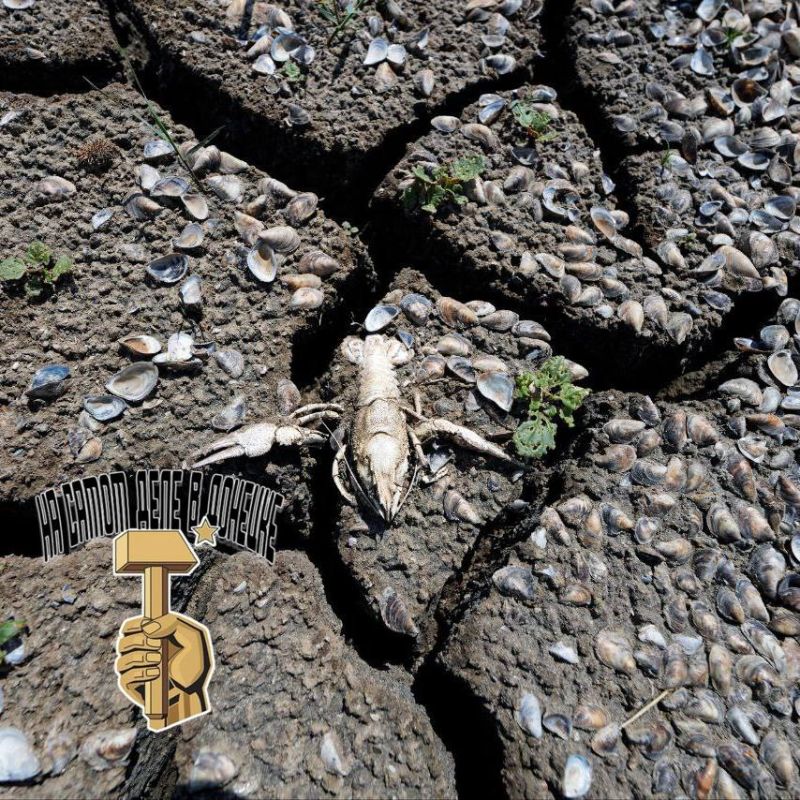  .  ,      ,   7075%        :    ,    