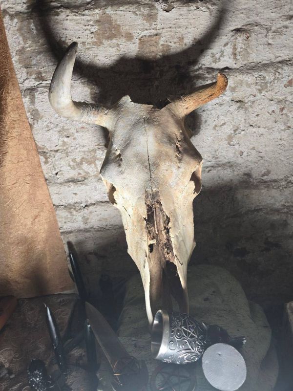 В России запретили сатанистов-нацистов В России запретили сатанистов-нацистов