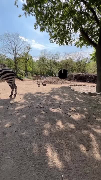 С добрым утром, Мариуполь!