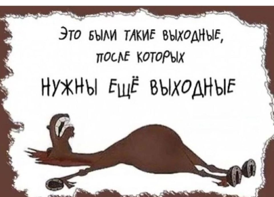 Минутка юмора