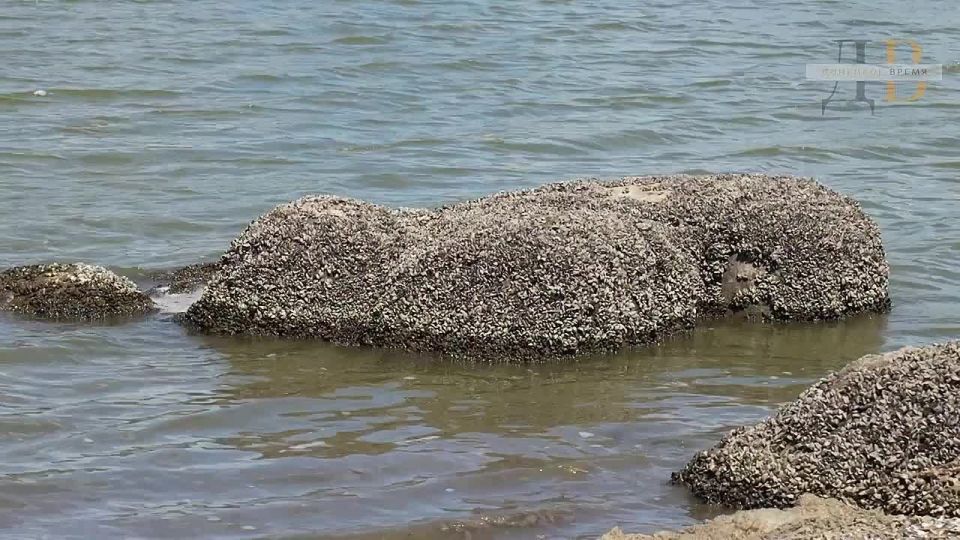 «Уровень низкий»: на полное восстановление Старокрымского водохранилища уйдут годы