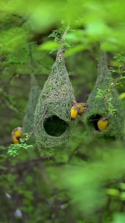 Доброе утро, Мариуполь!. Пусть сегодня вас окружают добрые люди и приятные события