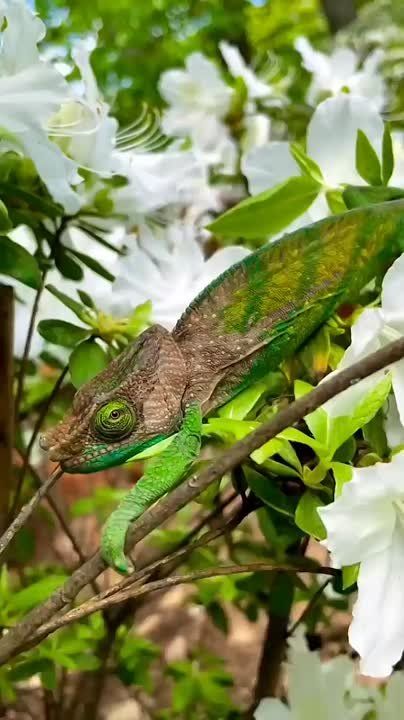 Спокойной ночи, Мариуполь!