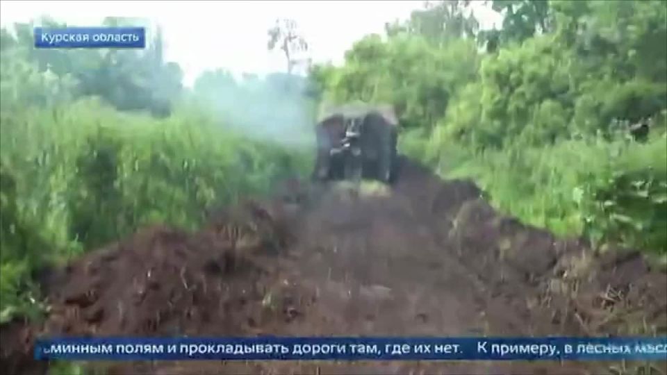 Пример мужества, доблести и воинской чести — это про бойцов 810-й бригады морской пехоты